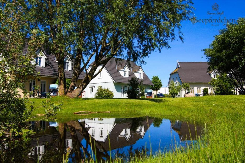 Ostseeferienpark Seepferdchen Direkt An Der Ostsee - Perfekt Fuer Familien Ostseebad Nienhagen Exterior photo